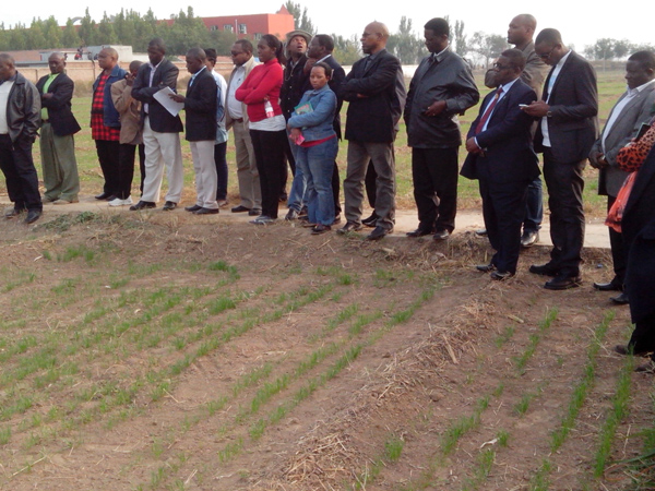 ̹ɣ၆^F(tun)ԇ(yn)